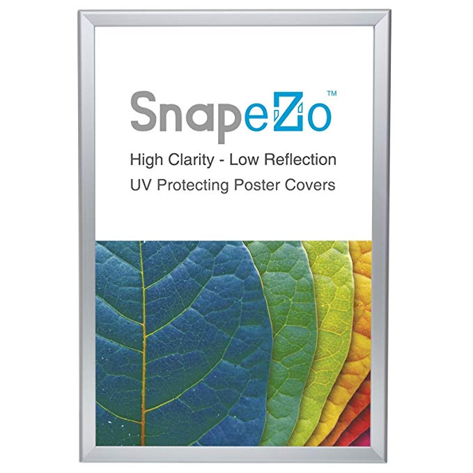 SnapeZo Poster Frame 20x30 Inches, Silver 1.2" Aluminum Profile, Front-Loading Snap Frame, Wall Mounting, Premium Series