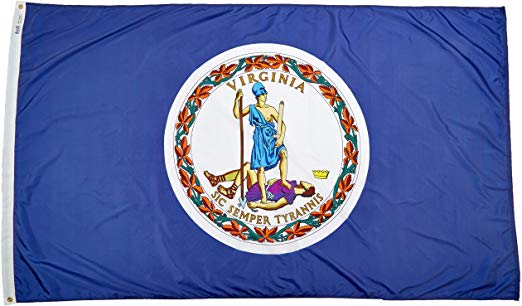 Annin Flagmakers Model 145680 Virginia Flag Nylon SolarGuard NYL-Glo, 5x8 ft, 100% Made in USA to Official State Design Specifications