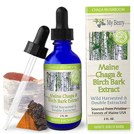 Maine Chaga & Birch Bark Extract, Natural Source of Betulin from White Birch Bark, Wild Harvested Chaga, Double Extracted Tincture