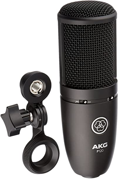 AKG Pro Audio PERCEPTION 120 Professional Studio Microphone (Silver)
