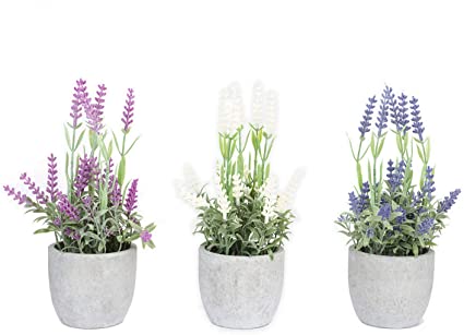Velener Mini Fake Lavender Flowers in Pot for Home Decor (3 in 1)