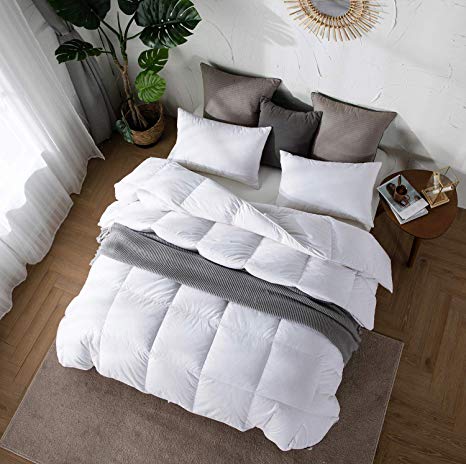 Topllen White Down Comforter - 300TC 100% Cotton Downproof Fabric - 55Oz Quilted Hypoallergenic Winter Comforters Duvet Insert with Corner Tabs & Carry Bag (Queen)