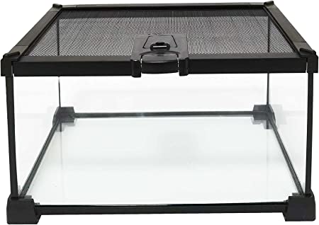 kathson Mini Reptile Glass Terrarium Tank Amphibians Habitat Cage Full View Visually Appealing Sliding Screen Top for Bearded Dragons Lizards Geckos Hermit Crab Frog