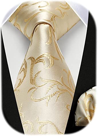 HISDERN Ties for Men Paisley Floral Tie Handkerchief Classic Woven Business Formal Necktie and Pocket Square Set Wedding