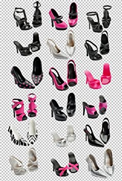 BARBIE BASICS SHOES PACK LOOK 02 COLLECTION 1.5 FABULOUS [Toy] (japan import)