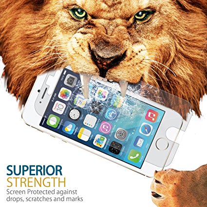 iPhone 5/5C/5S/5SE Best Screen Protector, All-In-One Anti Glare Film , Gadget-Smith - Protect Your Screen from Scratches and Drops