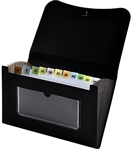 Lion 13-Pocket Small Ex panding File, 5-3/4 x 8-1/2 Inches, Black, 1 File (94300-BK)