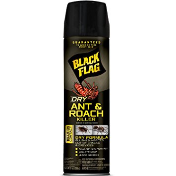 Black Flag HG-11059 Dry Ant and Roach Killer Aerosol, 9-Ounce