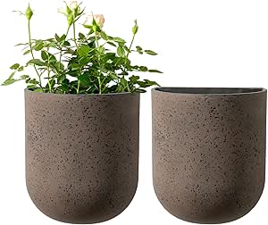 LA JOLIE MUSE Wall Hanging Planters for Indoor Plants, Hanging Flower Pots for Air Plants Succulent, Set of 2, 6 Inch, Iron Rust