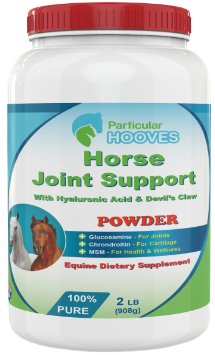 Glucosamine for Horses - Powder - Joint and Hip Supplement for Equine with MSM Chondroitin Vitamin C Devils Claw Hyaluronic Acid - 2 Pounds Powder