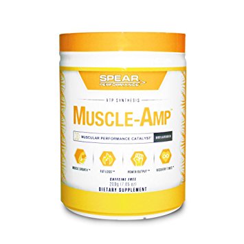 Muscle-AMP- Zero Stim, Caffeine-Free Pre-Workout *40 Servings*- BUILD MUSCLE, BOOST POWER, ENHANCE ENDURANCE, INCREASE STRENGTH, Promote Cellular Energy & Replenish ATP stores for Greater Performance!