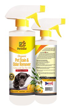2 PACK Pet Stain & Odor Remover Spray By Pet Diesel - 2 Bottles x 17 oz Best Organic Enzyme Cleaner For Pet Odor Elimination & Dog, Cat Urine Stain Removal - Ideal For Wide Area Stains - 34 oz 100% GUARANTEED