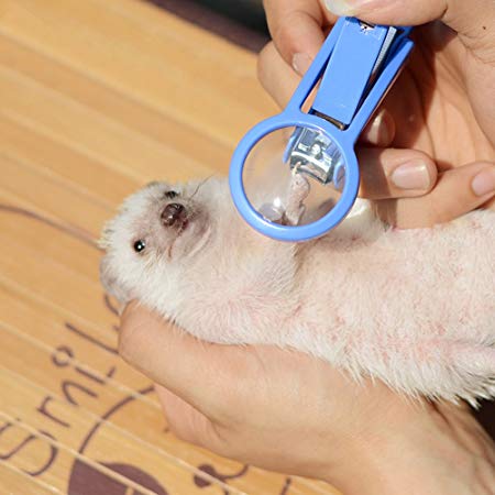 Frjjthchy Pet Hamster Hedgehog Nail Clipper Trimmer Small Animal Toenail Clippers with Magnifier