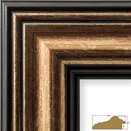 Craig Frames 21307201 20 by 27-Inch Picture Frame, Smooth Wrap Finish, 3.015-Inch Wide, Copper and Black