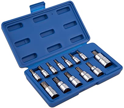 Neiko 10073A 1/4-Inch, 3/8-Inch and 1/2-Inch Drive Torx Socket Set, Tamper Proof, Security Type, 13-Piece