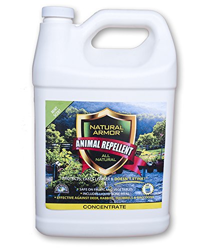 Natural Armor Animal Repellent – Gallon - 128 Ounce - Mint Scent - Concentrate - A Deterrent Spray That Gets Rid Of & Keeps Out Rodents, Animals & Critters