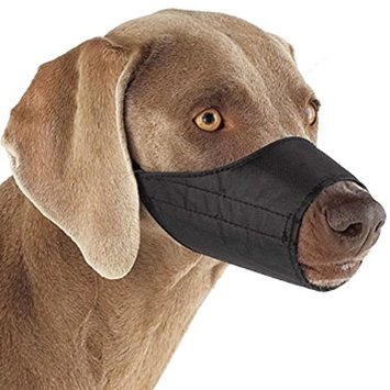 Guardian Gear Lined Nylon Muzzles — Versatile Muzzles for Dogs - 4½" Snout