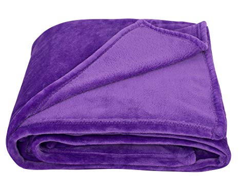 SOCHOW Flannel Plush Throw Blanket 50" × 60",All Season Purple Blanket for Bed, Couch,Car