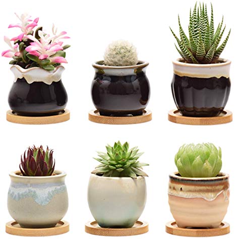 Plant Pots for Succulents, Small Ceramic Planters 2.5 Inch with Drainage & Bamboo Trays, Set of 6 Pots for Plants