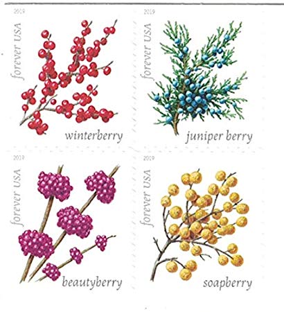 USPS Winter Berries Forever Stamps - Sheet of 20 Postage Stamps