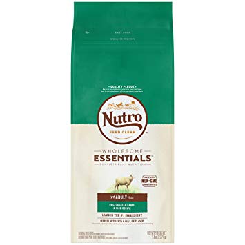 Nutro Wholesome Essentials Adult Dry Dog Food - Lamb & Rice