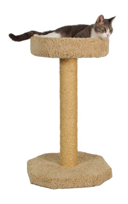Molly and Friends Bed and Sisal Scratching Post