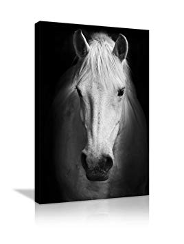 AMEMNY Modern White Horse On Black and White Wall Art Background Canvas Paintings on Canvas Contemporary Wall Art Giclee Framed Artwork HD Printed Picture to Photo Decor for Living Room(16''Wx24''H)