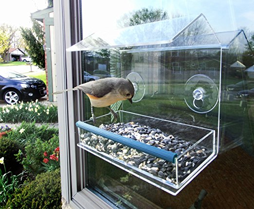 Bird Feeder For Window - Removable Tray & Drain Holes - Durable Acrylic Clear Window Feeder For Unlimited Wild Birds - Great For Attracting Small And Large Birds - Virtually Squirrel Proof