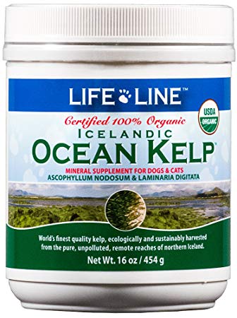 Life Line Organic Ocean Kelp