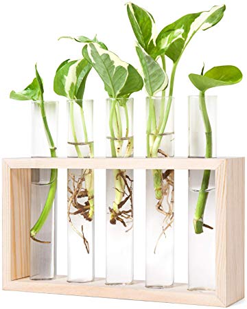 Mkono Wall Hanging Glass Planter Propagation Station Modern Flower Bud Vase in Burlywood Stand Rack with 5 Test Tube Tabletop Terrarium for Propagating Hydroponics Plants, Home Office Decoration