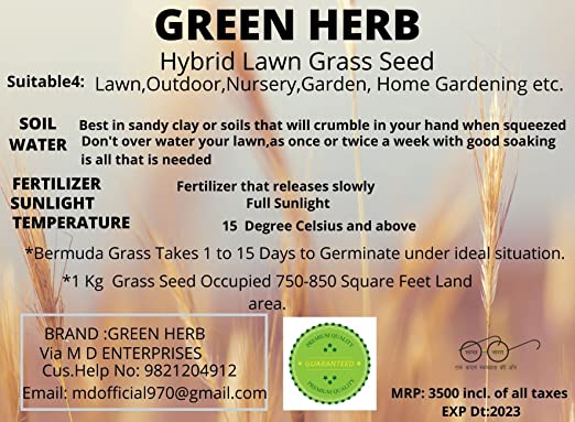 Green Herb Bermuda Grass Seed - 1 kg