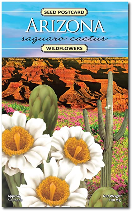Arizona Saguaro Cactus Wildflower Seed Packet - Enjoy The Natural Beauty of Arizona Cactus Flowers in Your Own Home Garden - State Flower