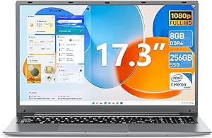 SGIN Laptop, 17.3 IPS Full HD Laptops Computer, 8GB RAM 256GB SSD Notebook with Celeron Quad-core Processor, Mini HDMI, Webcam, Expandable Storage 512GB TF, 2xUSB 3.0 (Gray)