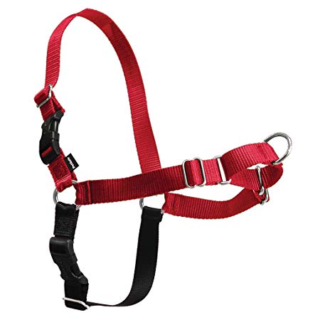 PetSafe Easy Walk Dog Harness