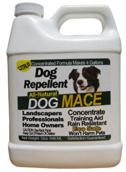 Natures MACE Dog Repellent 32oz Concentrate