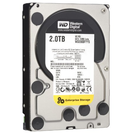 WD RE4 2 TB Enterprise Hard Drive: 3.5 Inch, 7200 RPM, SATA II, 64 MB Cache (WD2003FYYS) (Old Model)