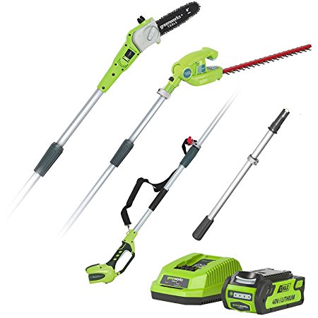 Greenworks Tools 1300607UA Cordless 2-in-1 Pole Saw/Hedger with 2 Ah Battery and Universal Charger, 40 V, Green