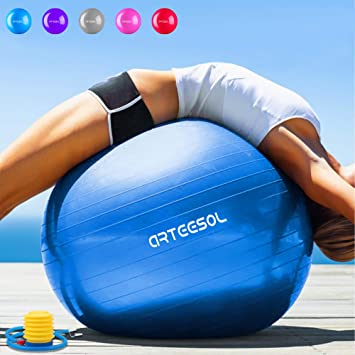 Arteesol Exercise Ball 65cm / 75cm Anti-Burst Anti-Slip Yoga Swiss Ball Birthing Ball Quick Pump Fitness Gym Yoga Pilates Core Training Physical Therapy