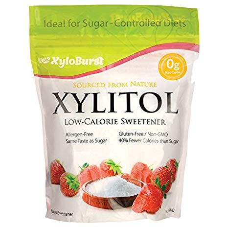 XYLOBURST Xylitol Sweetener, 1 Pound