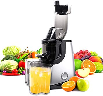 Slow Juicer Masticating Juice Extractor Professional Machine with Quiet Motor Reverse Function Cold Press Juicer with Brush Easy to Clean High Nutrient Fruit Vegetable Orange Juice Maker Juicers