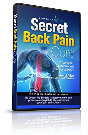 Back Pain Relief DVD By 24Seven Wellness & Living, Natural Prevention of Lower, Upper, Neck and Sciatic Pain. A Yoga and Pilates Based Stretch Program That Could Potentially Change Your Life!