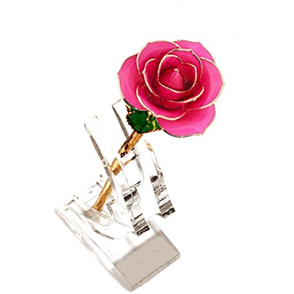 24k Gold Real Rose Flower & Eternal Golden Plated Rose with Clear Display Stand in Gift Box Best Romantic Loving Gift for Wife,Girlfriend,Birthday,Mother's Day,Wedding Anniversary (Pink)