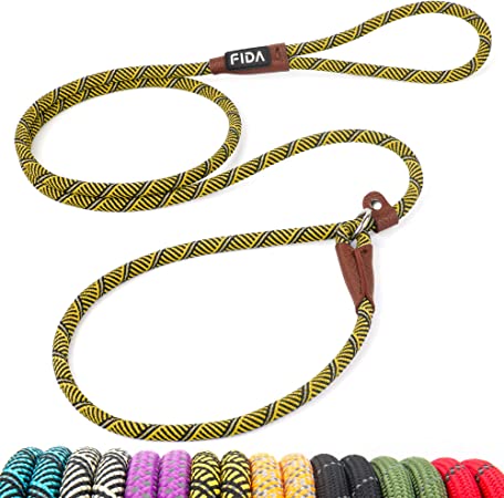 Fida Durable Slip Lead Dog Leash, 6 FT x 3/8" Heavy Duty Dog Loop Leash, Comfortable Strong Rope Slip Leash for Small Dogs and Puppies, No Pull Pet Training Leash with Highly Reflective (3/8", Yellow)