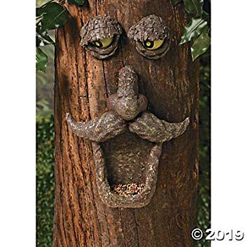 Fun Express Tree Face Bird Feeder