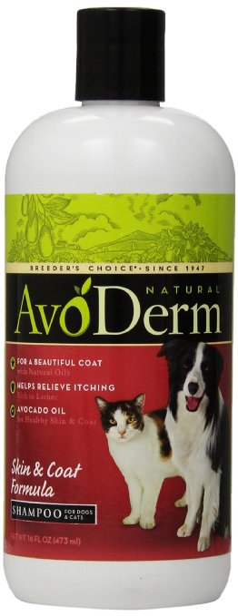 AvoDerm Natural Skin and Coat Formula Shampoo for Dogs and Cats