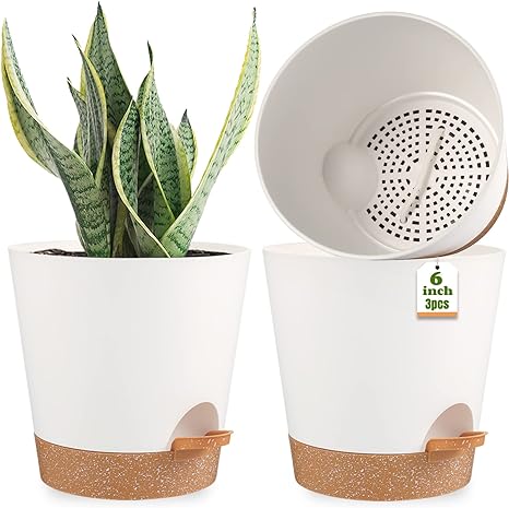 WERTYCITY Plant Pots Set, 6inch Self Watering Plastic Planters with Drainage Holes and Removable Saucer for Indoor Plants, African Violet, Succulents, Flowers