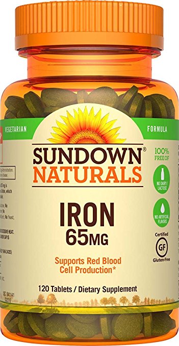 Sundown Naturals Iron Ferrous Sulfate 65 mg, 120 Tablets