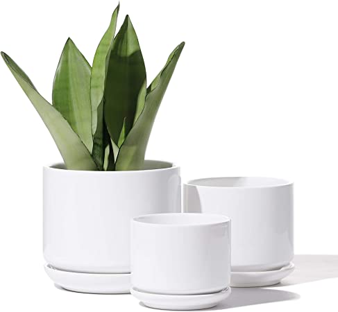 POTEY Planters Pots for Plants Indoor - 4 5.5 6.5 Inch Ceramic Planters Bonsai Container with Drainage Holes & Removable Saucers 055705, Plants Not Included