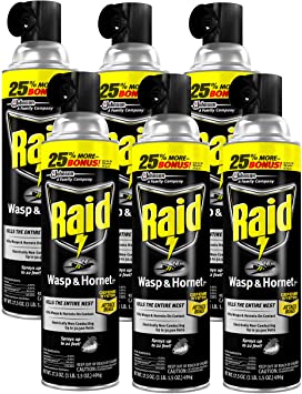 Raid Wasp and Hornet Killer, 17.5-Ounce (Pack - 6)