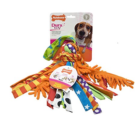 Nylabone Interactive Happy Moppy Dog Chew Toy